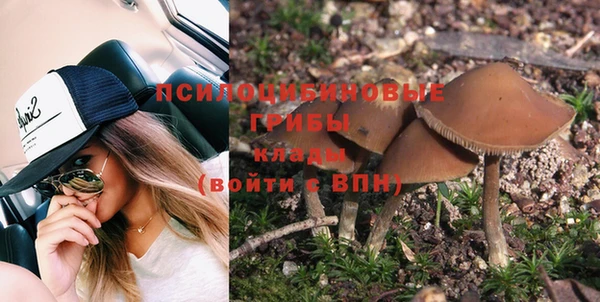 MESCALINE Надым