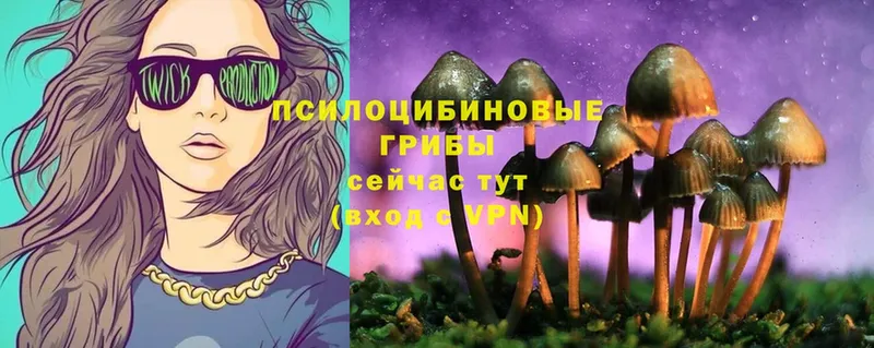 Псилоцибиновые грибы Magic Shrooms  MEGA ссылки  Нерчинск 