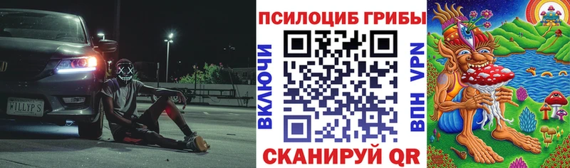 Галлюциногенные грибы прущие грибы  блэк спрут маркетплейс  Нерчинск 