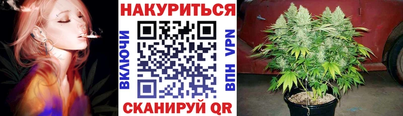 Шишки марихуана сатива Нерчинск